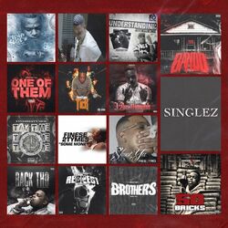 Cover of Singlez