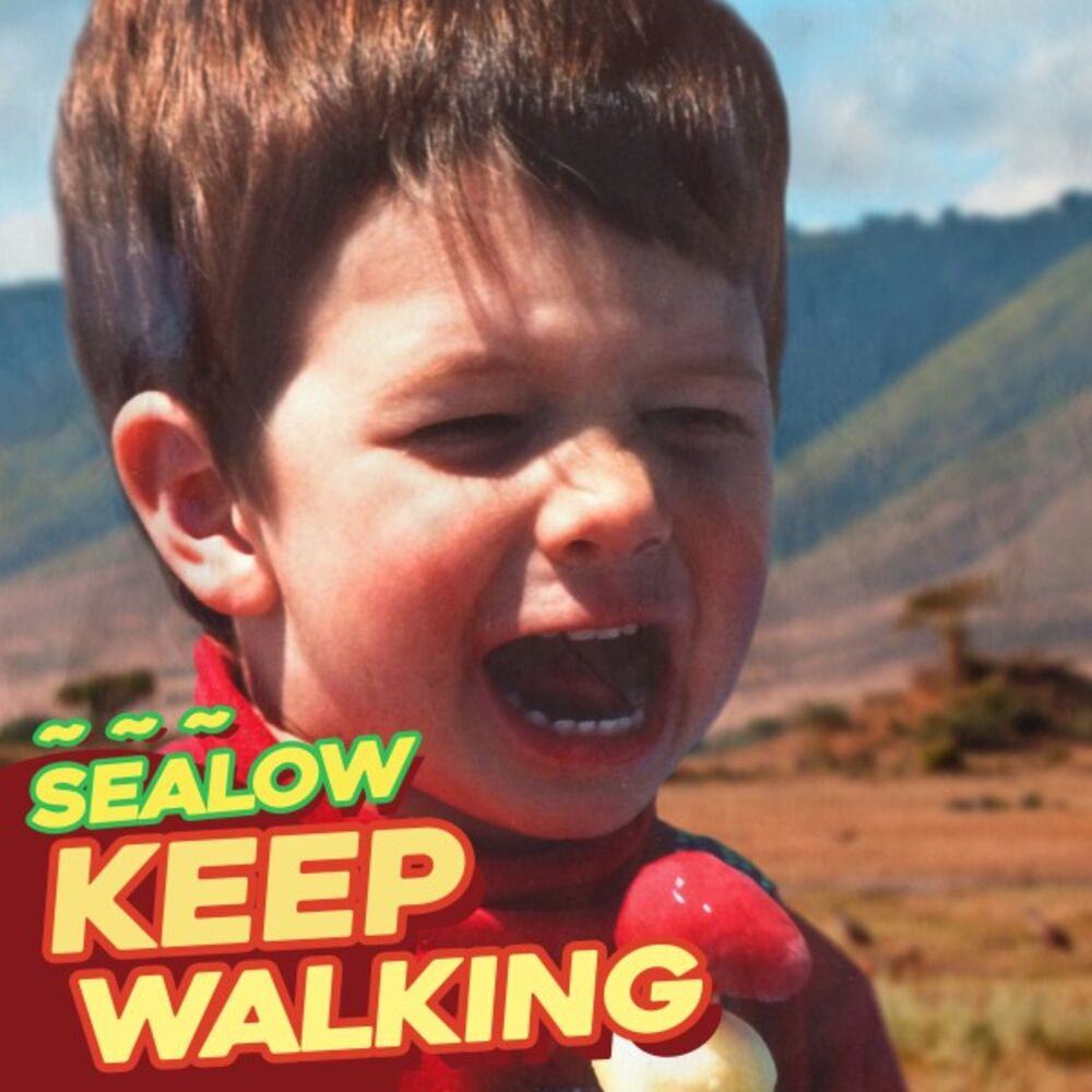 Picture of Keep Walking