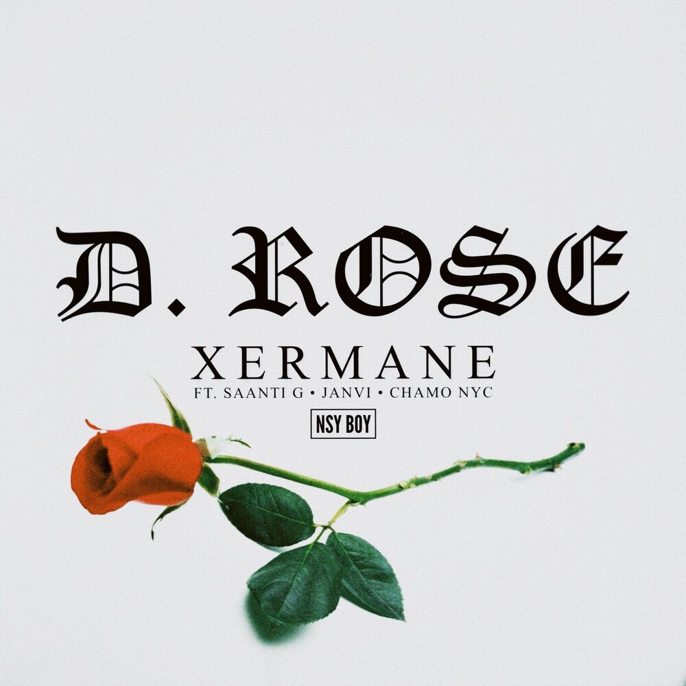 Picture of D. ROSE (feat. Saanti G, Janvi, Chamo MVP)