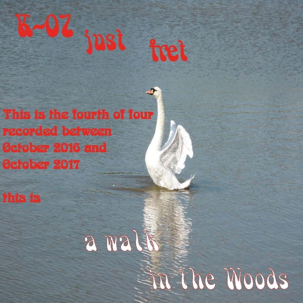 Picture of A Walk in the Woods