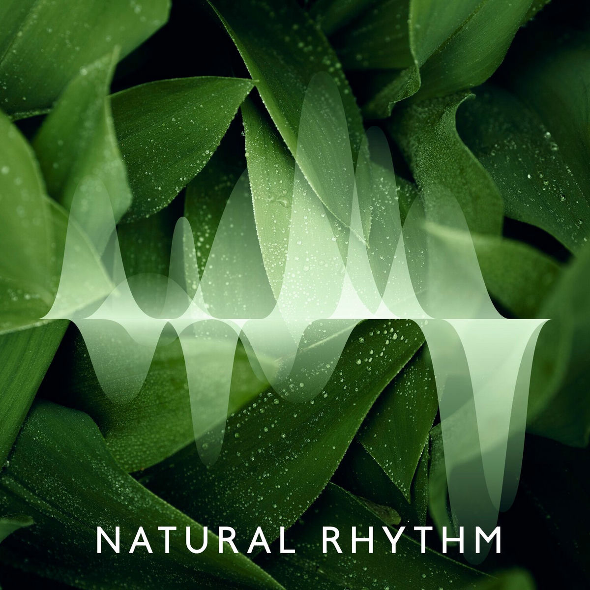 Album cover of Natural Rythmn: The Rhythms of Nature: Meditative Music with Nature Sounds to Relax and Focus Your Mind & Sleep, Spa, Yoga