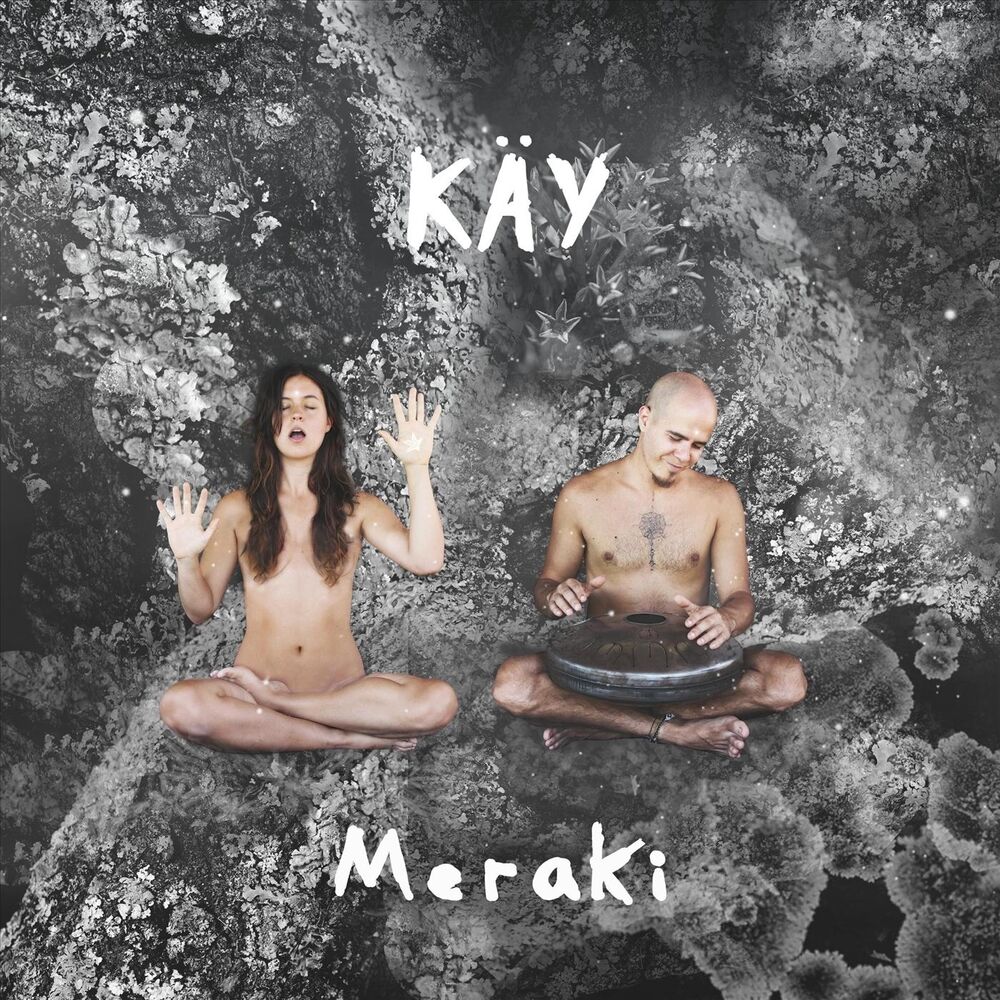 Picture of Meraki