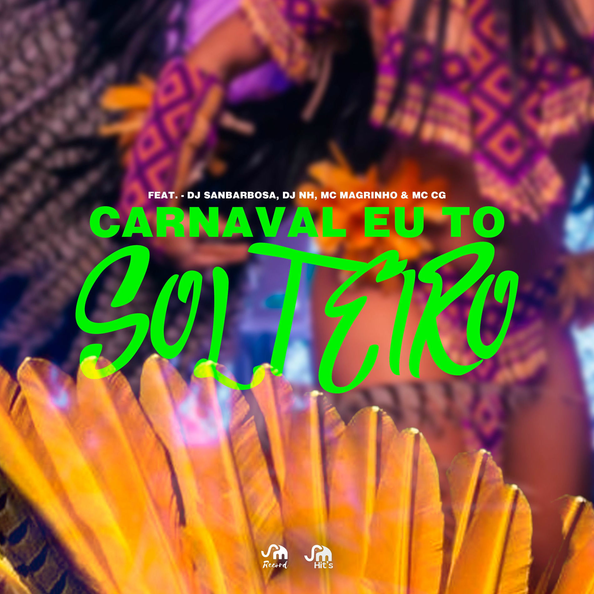 Album cover of Carnaval Eu Tô Solteiro