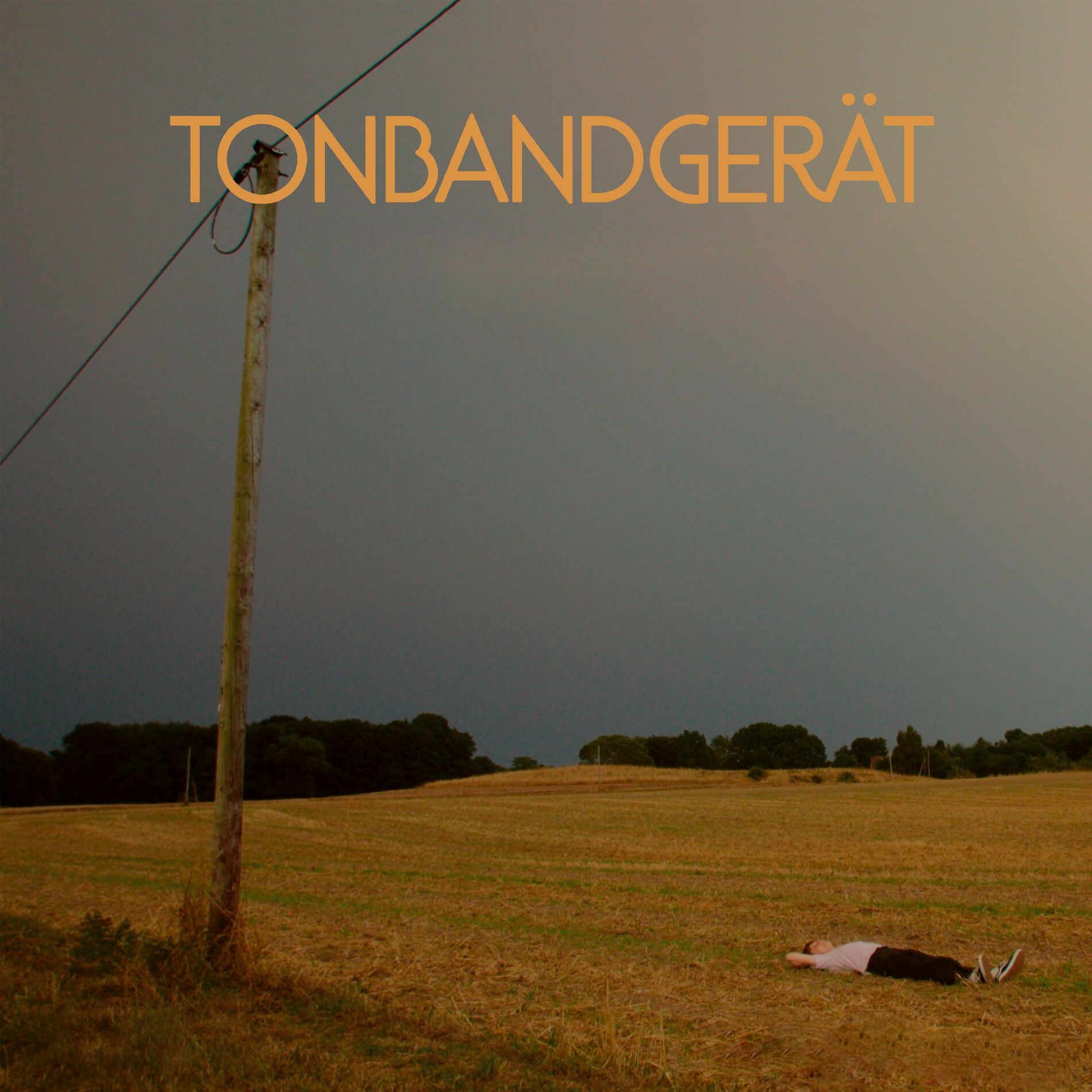 Album cover of Lynn