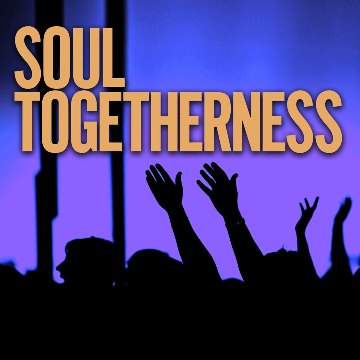 Album cover of Soul Togetherness Deluxe '09