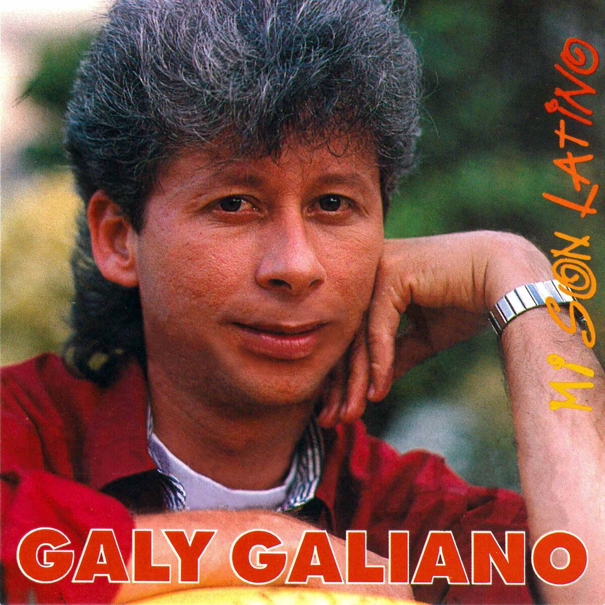 Album cover of Mi Son Latino