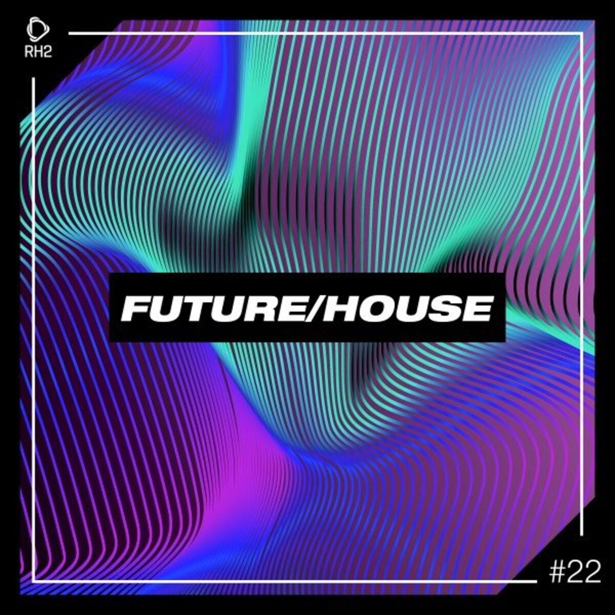 Album cover of Future/House #22