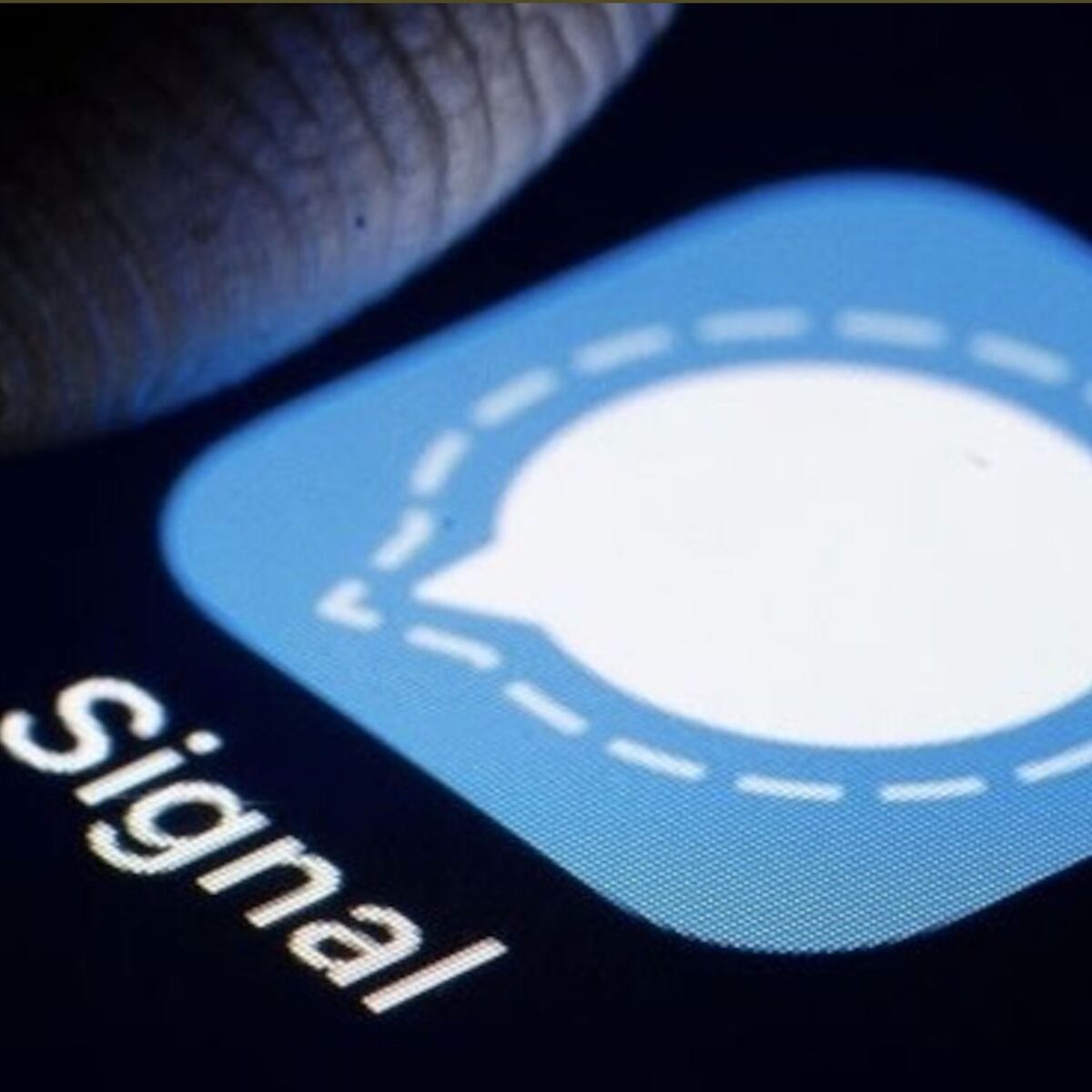 Album cover of SIGNAL