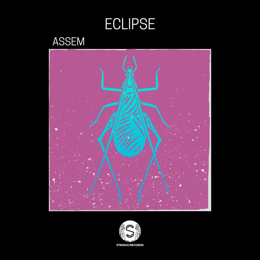 Picture of Eclipse