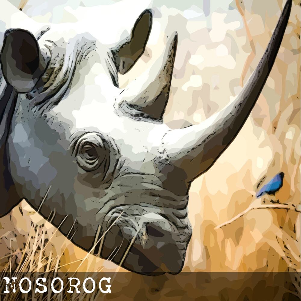 Picture of Nosorog