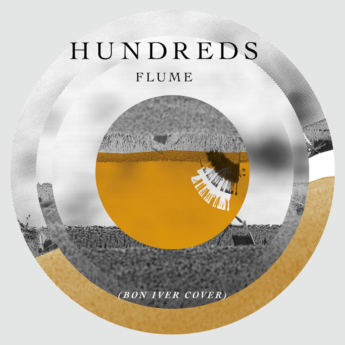 Album cover of Flume
