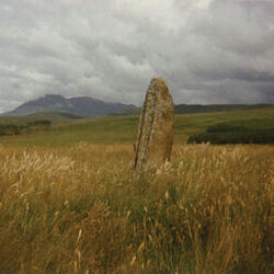 Cover of In Search of Spaces