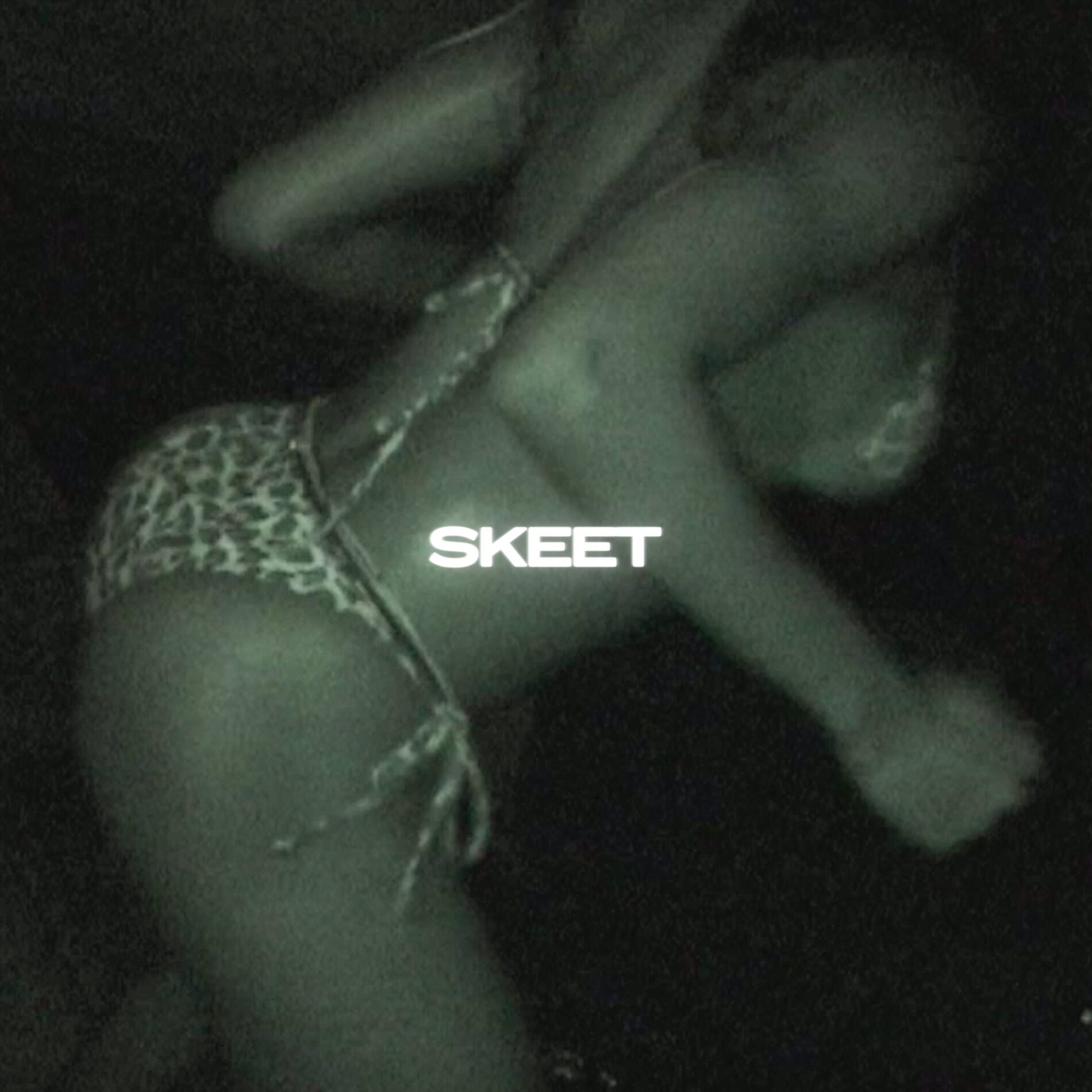 Album cover of Skeet