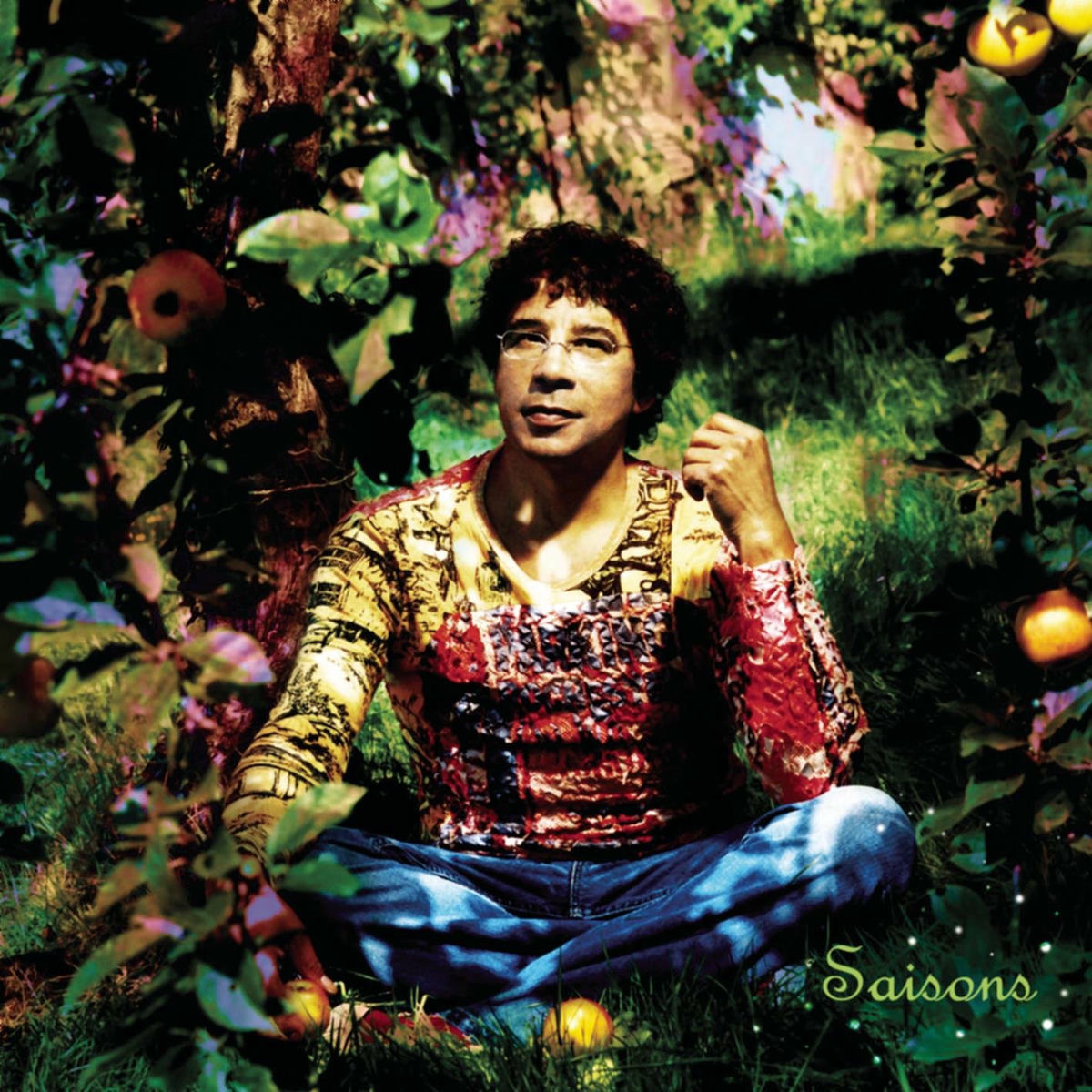 Album picture of Saisons, Le Double Best Of