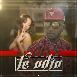 Cover of Te Odio
