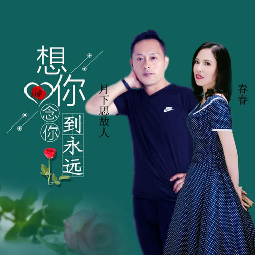 想你念你到永远 (DJ版)