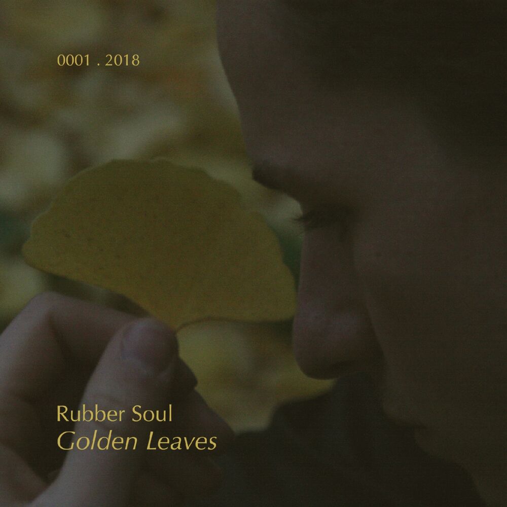 Picture of Golden Leaves