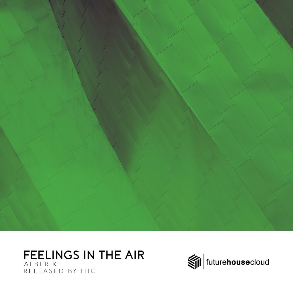 Picture of Feelings In The Air