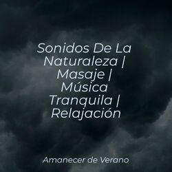 Cover of Sonidos De La Naturaleza | Masaje | Música Tranquila | Relajación