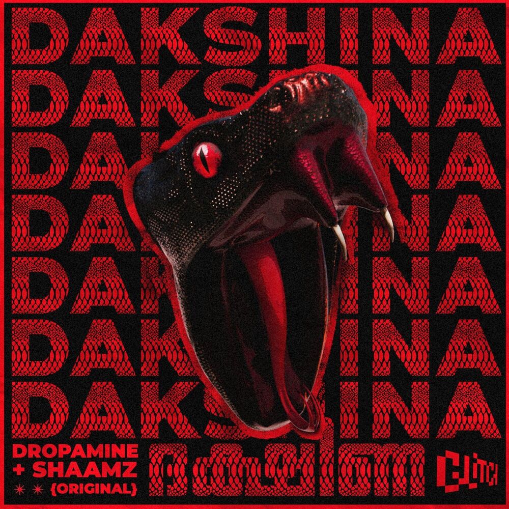 Picture of Dakshina