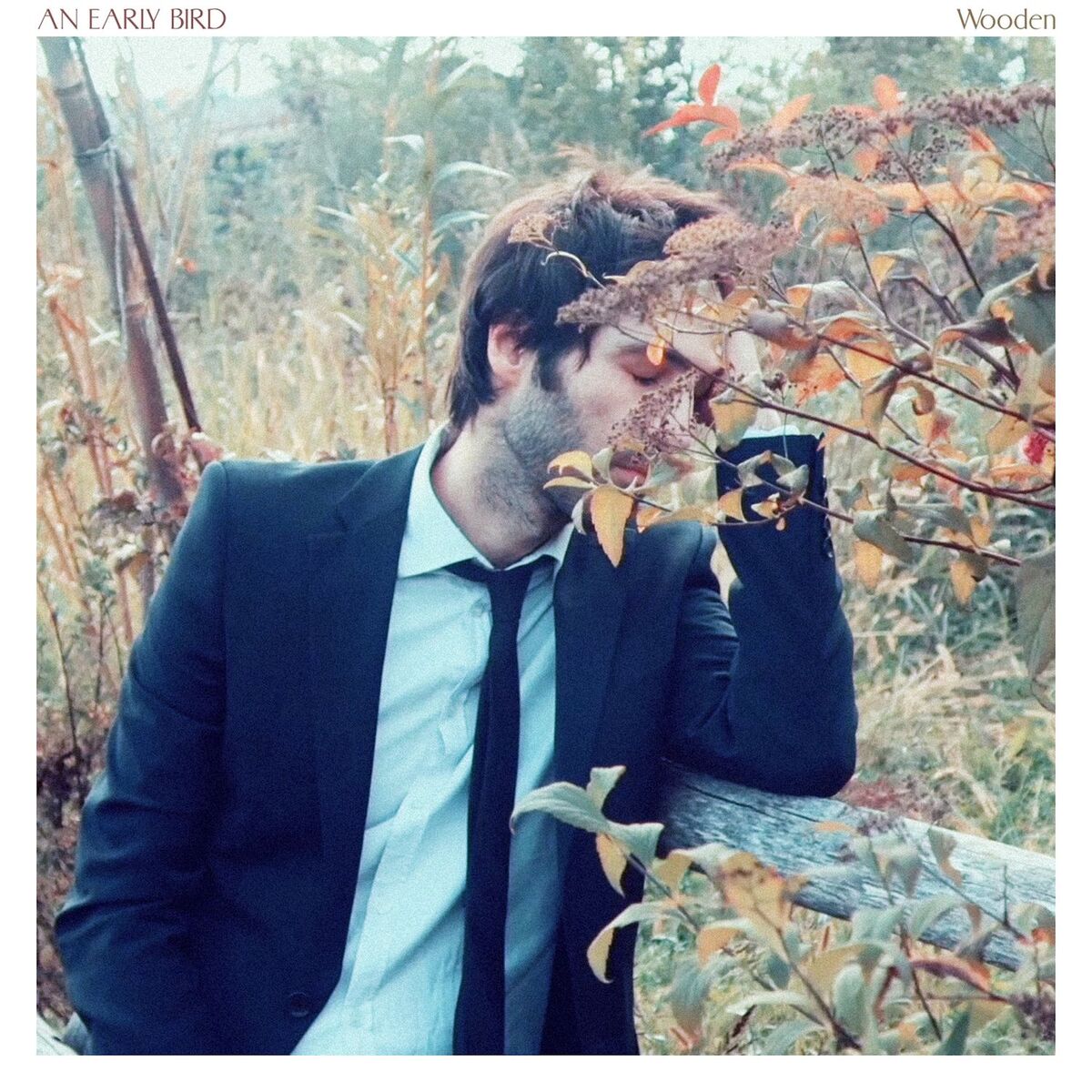 Album cover of Wooden