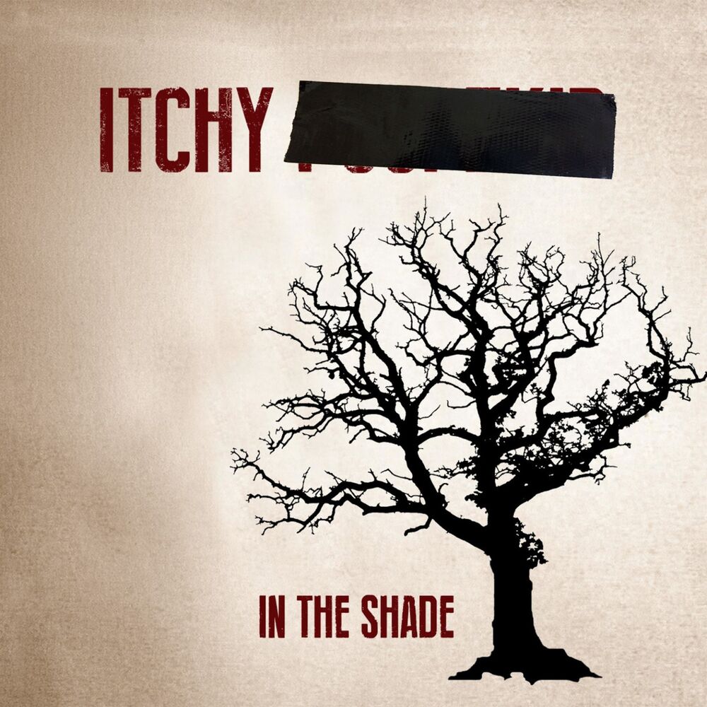 Picture of In the Shade