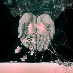 Cover of Nocturnal