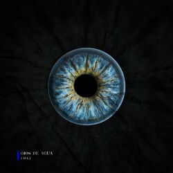 Cover of Ojos de Agua