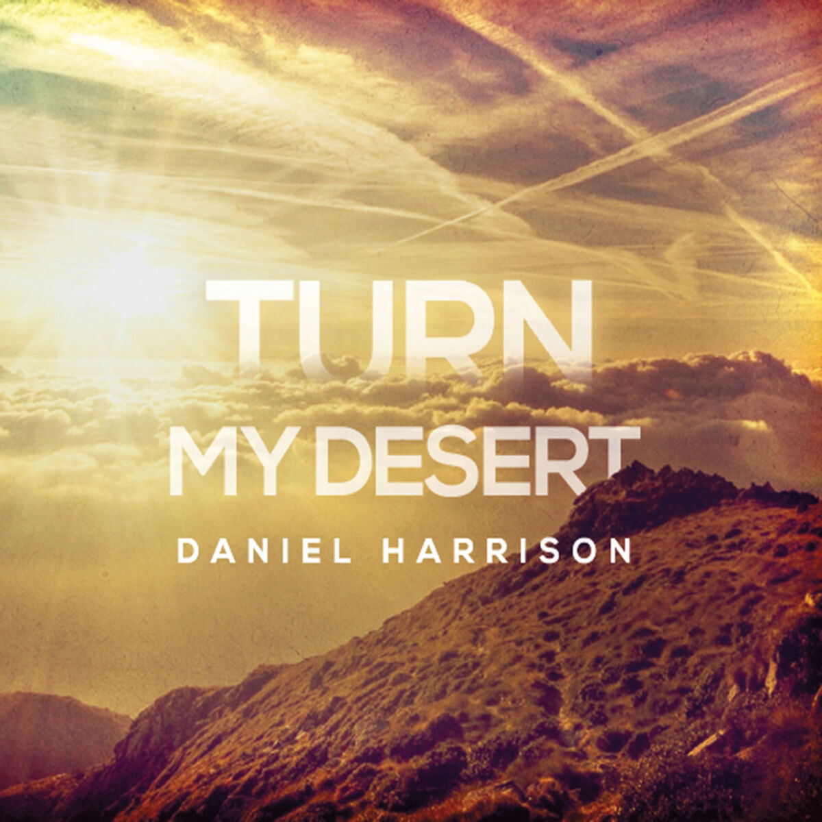 Album cover of Turn My Desert