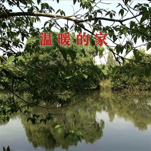 温暖的家