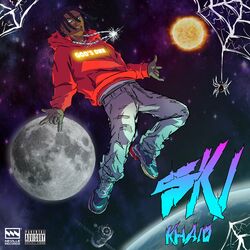 Cover of SKI