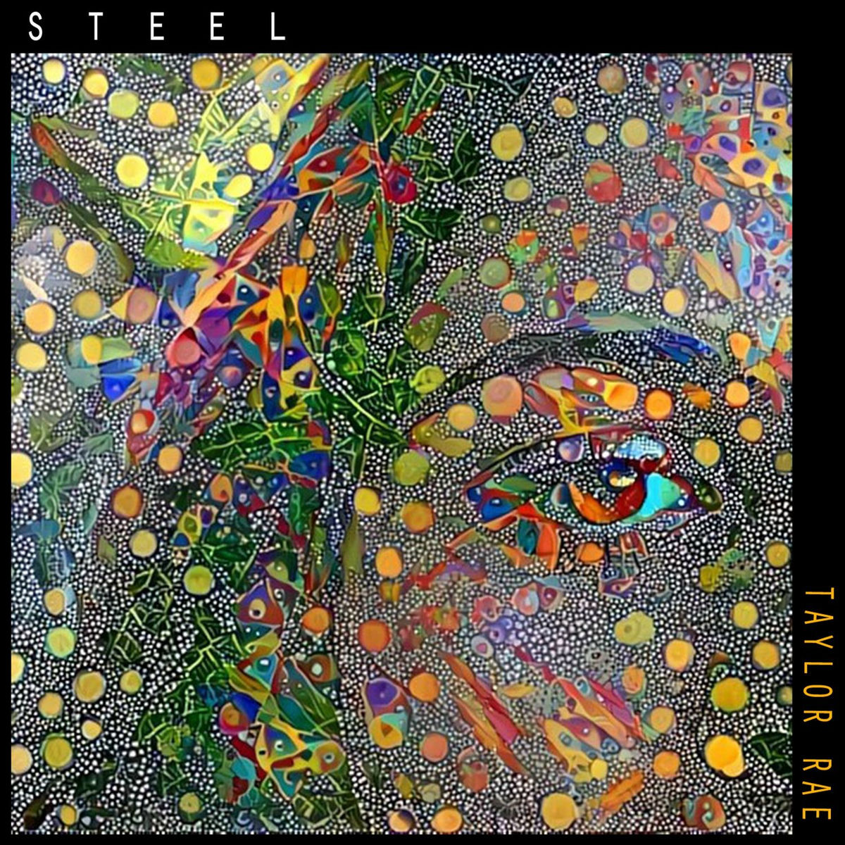 Album cover of Steel