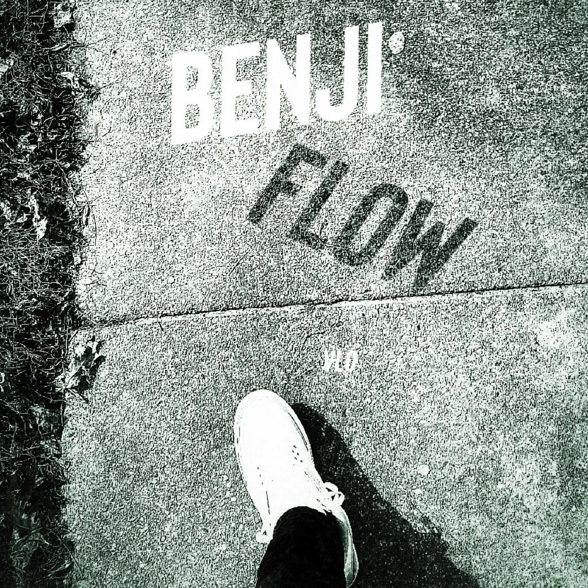 Album cover of Benji Flow (feat. Cee)