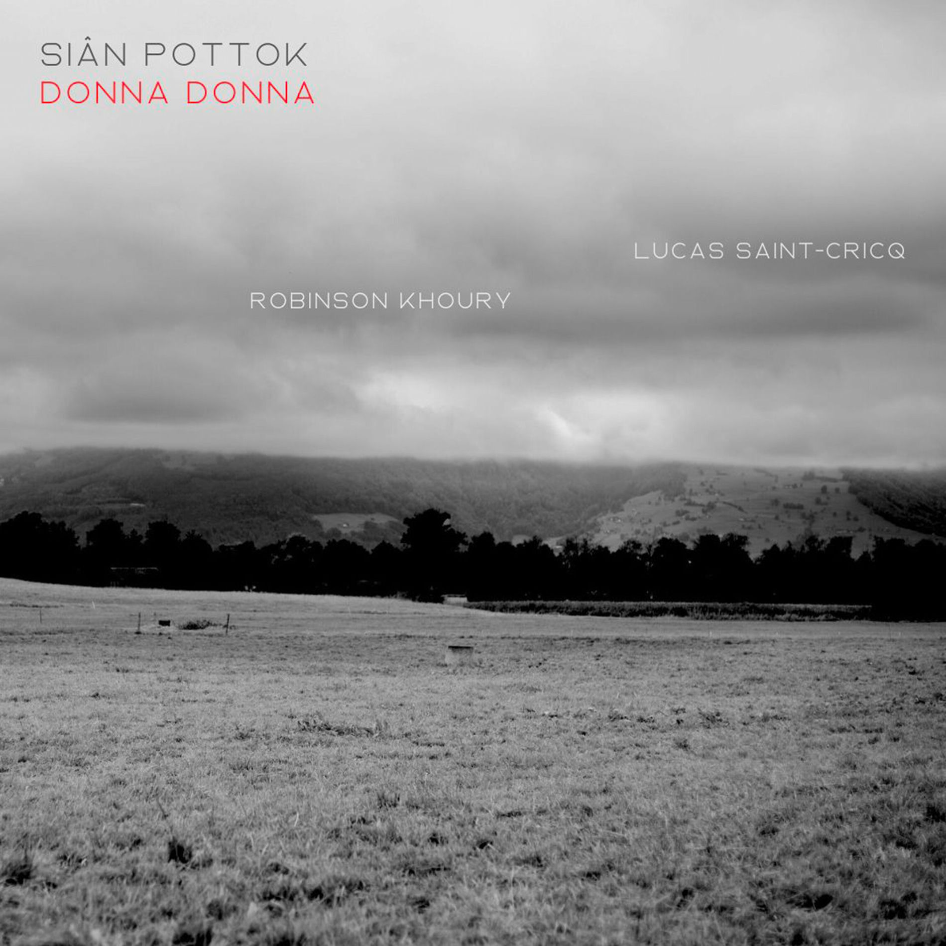 Album cover of Donna Donna