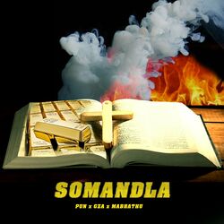 Cover of Somandla
