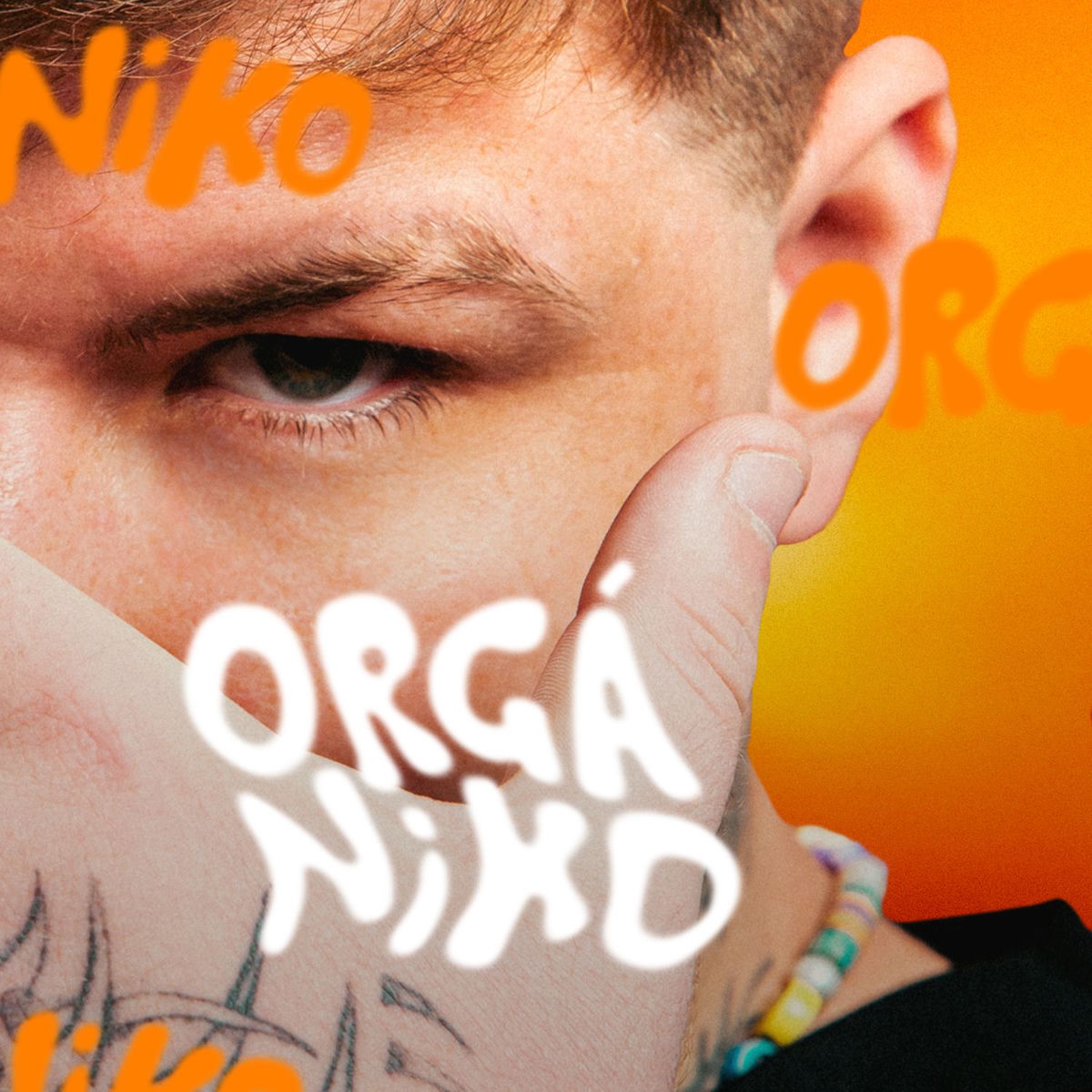 Album cover of ORGÁNIKO