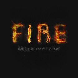 Cover of Fire