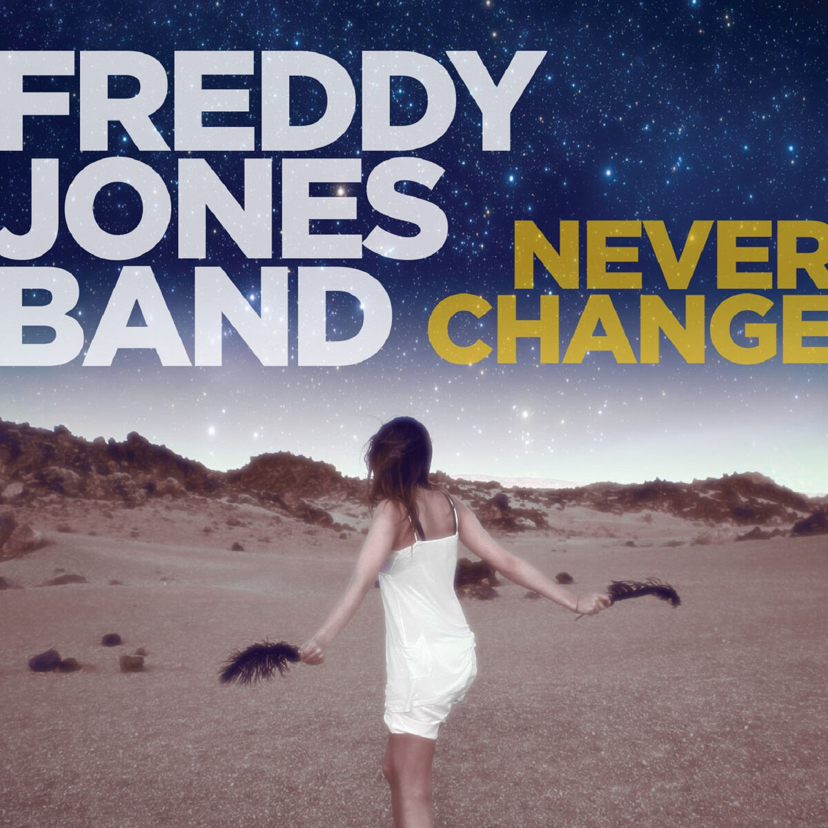 Album cover of Never Change