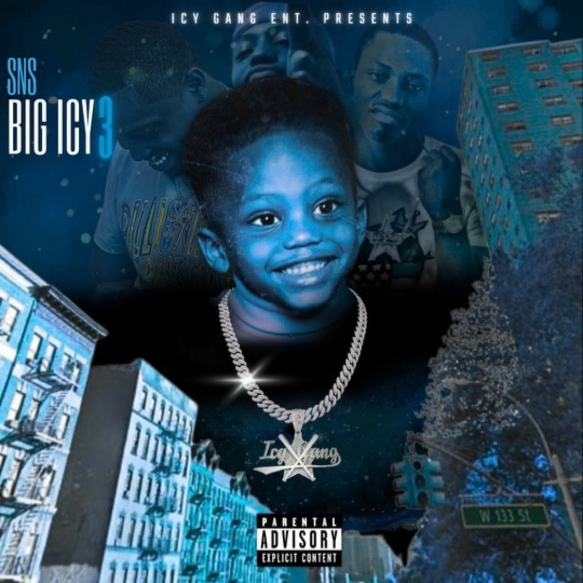 Album cover of BIG ICY 3
