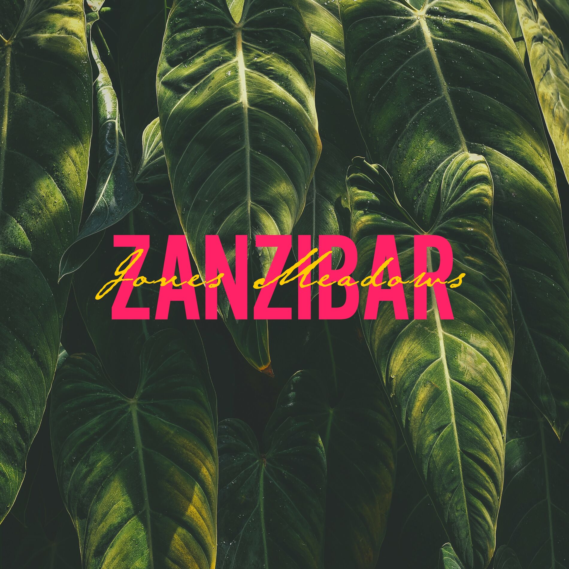 Album cover of Zanzibar