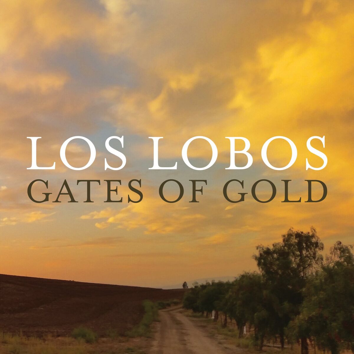 Album cover of Gates of Gold