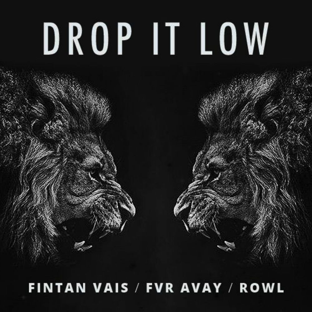 Picture of Drop It Low