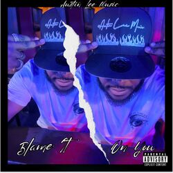 Cover of Blame It On You