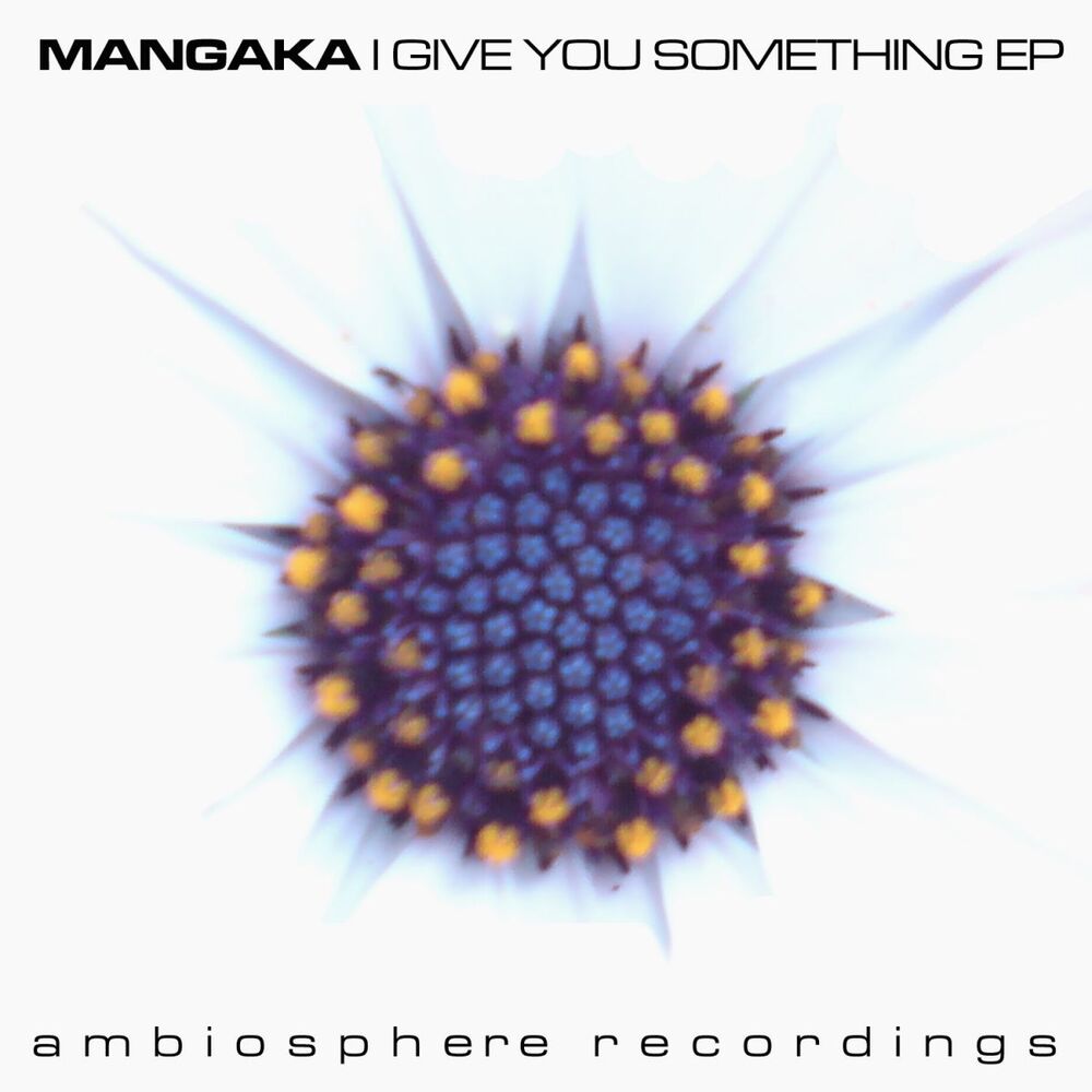 Picture of I Give You Something EP