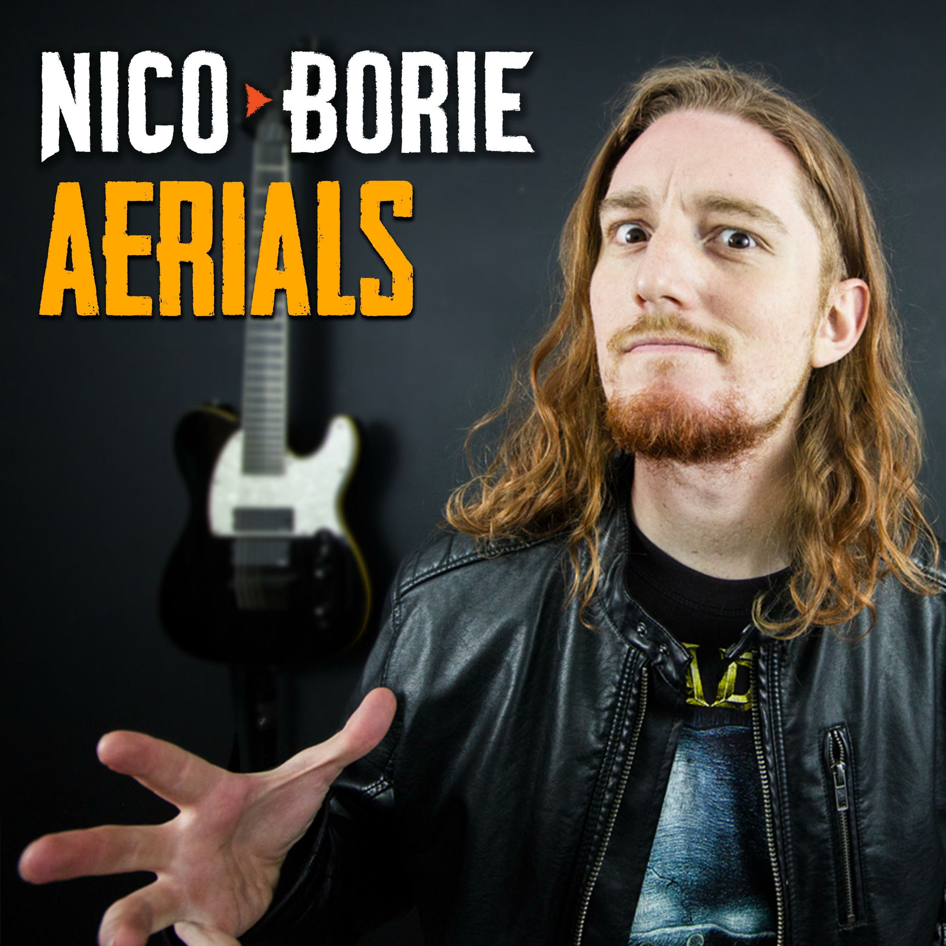 Album cover of Aerials