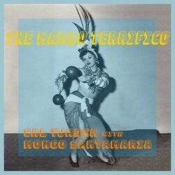Cover of The Mambo Terrifico