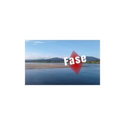 Cover of Fase