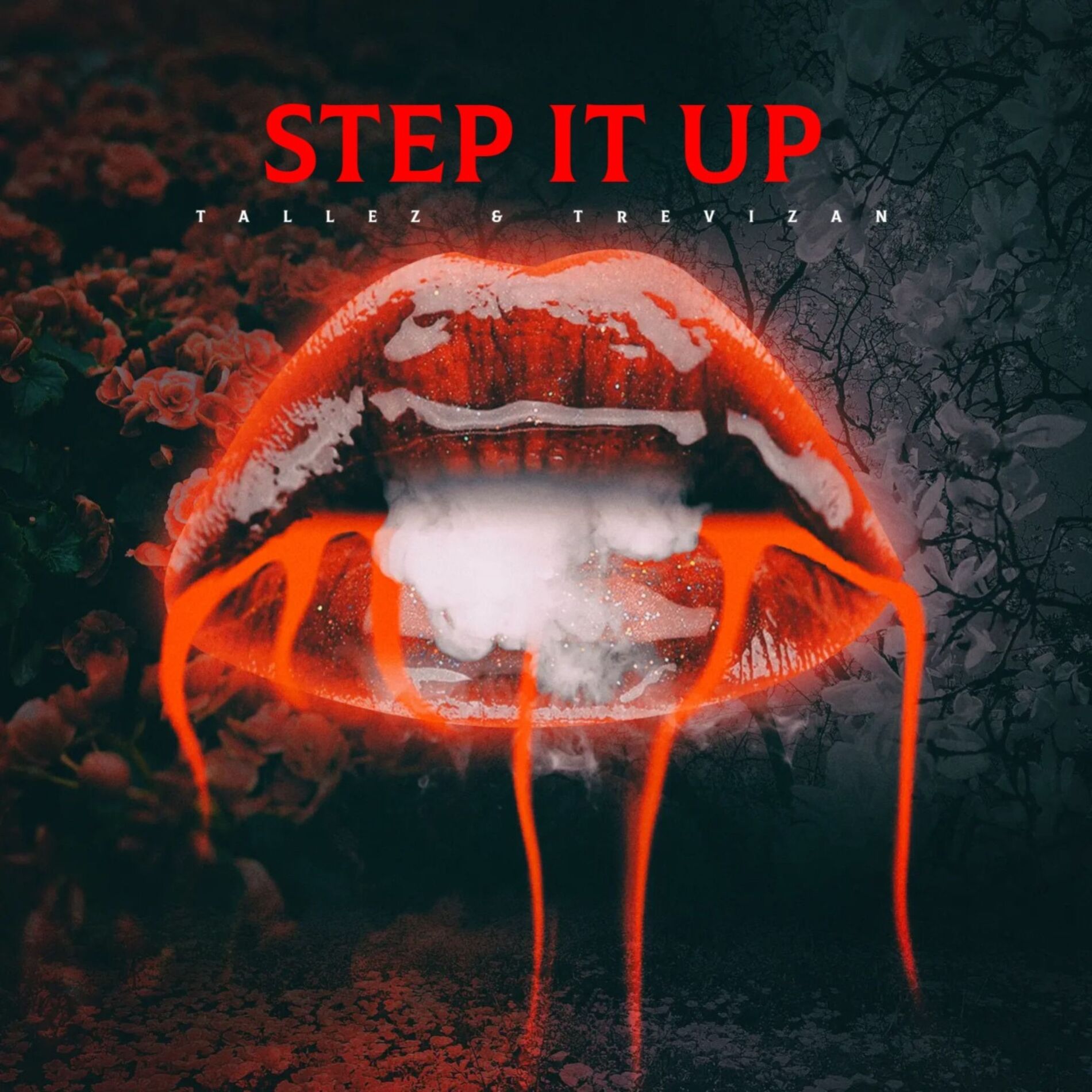 Album cover of Step It Up