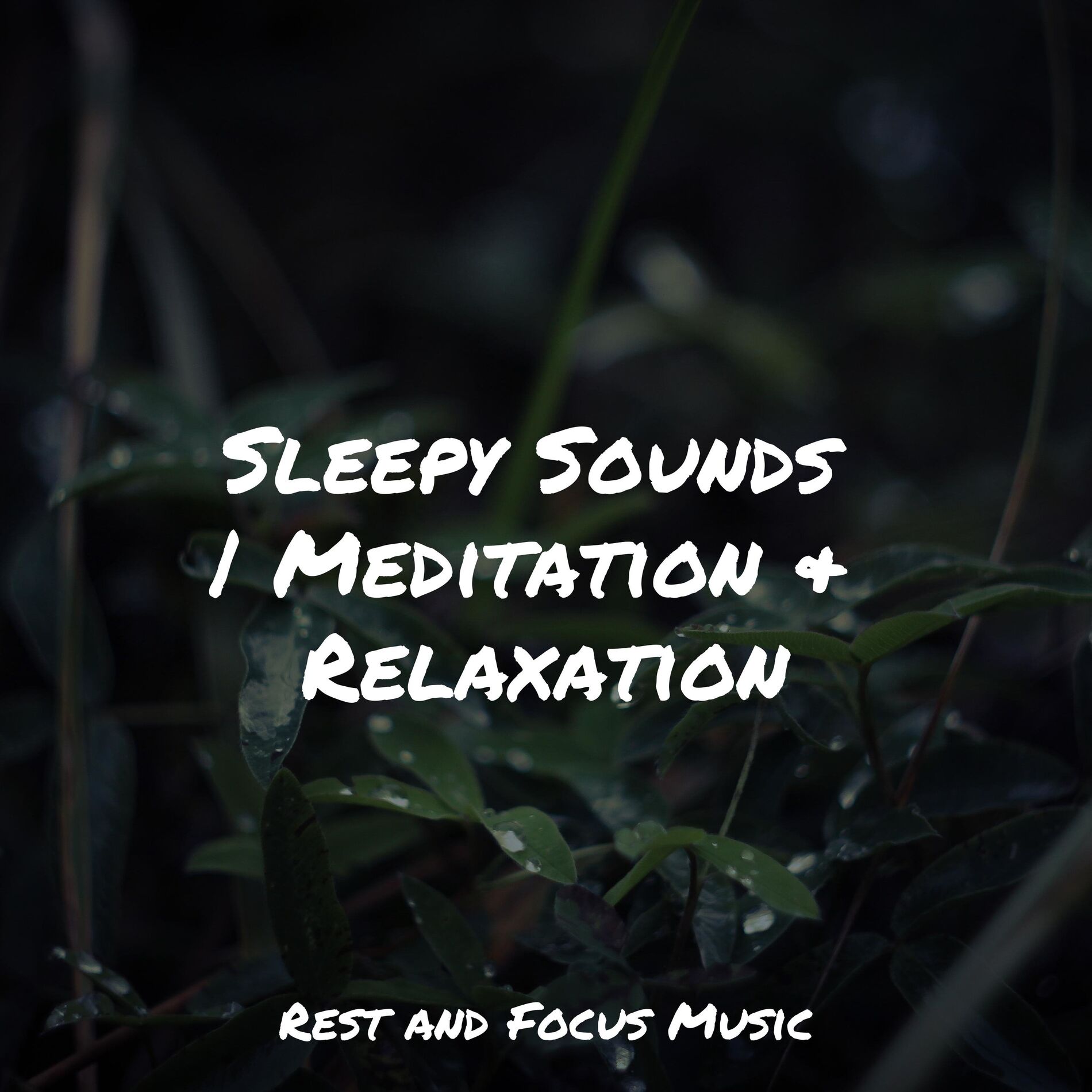 Album cover of Sleepy Sounds | Meditation & Relaxation