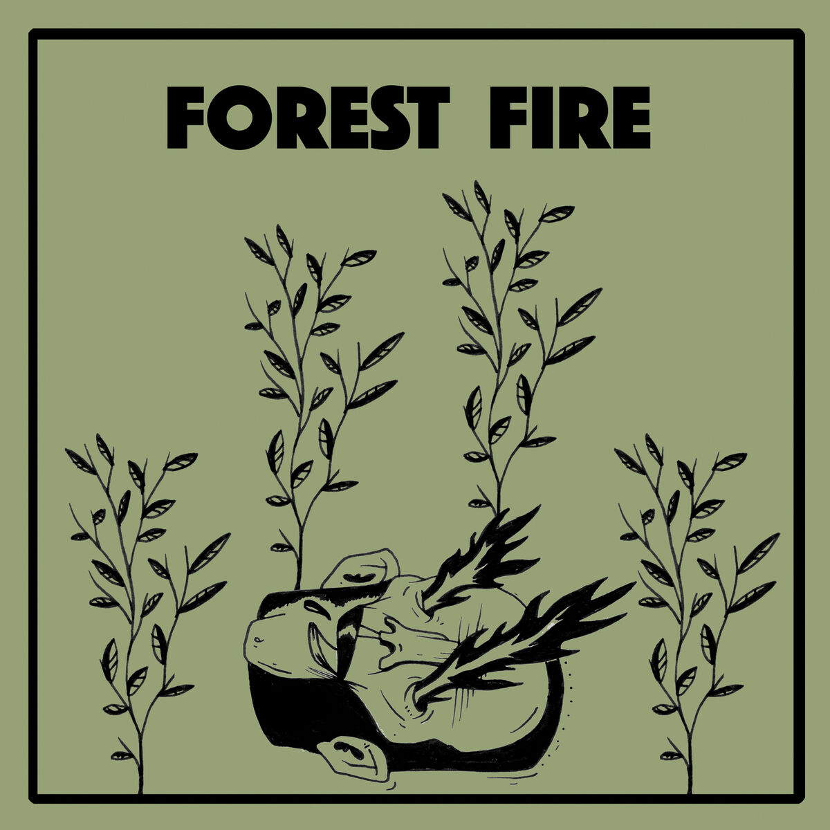Album cover of Forest Fire
